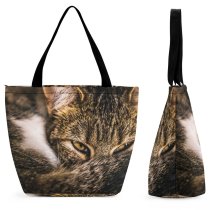 Yanfind Shopping Bag for Ladies Young Kitty Pet Kitten Portrait Tabby Wildlife Cute Little Adorable Staring Furry Reusable Multipurpose Heavy Duty Grocery Bag for Outdoors.