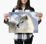 yanfind A3| Snow White Wolf Poster Print Size A3 Winter Wild Animal Poster