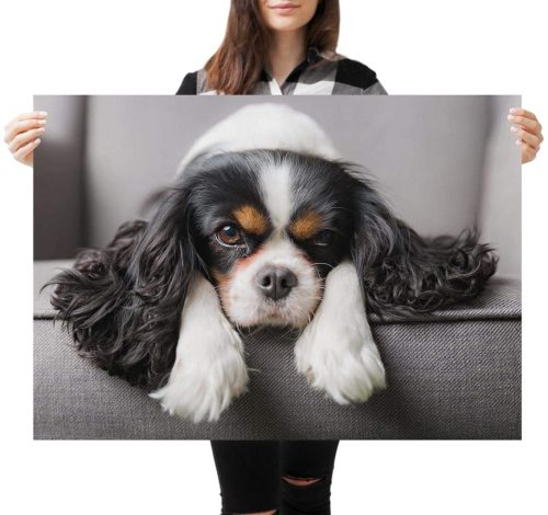 yanfind A1 | Cute Dog Pictures Canvas Wall Art Poster Print 60 x 90cm 180gsm