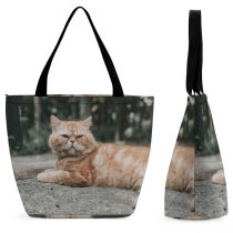 Yanfind Shopping Bag for Ladies Young Pet Funny Kitten Portrait Curiosity Cute Ginger Sleep Cat Whisker Reusable Multipurpose Heavy Duty Grocery Bag for Outdoors.