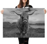 yanfind A1 | Highland Cow Yak Animal Wall Art Poster Print 60 x 90cm 180gsm Canvas