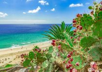 yanfind A3| Fuerteventura Island Beach Poster Size A3 Spain Holiday Poster