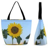 Yanfind Shopping Bag for Ladies Flower Plant HQ Daisies Daisy Asteraceae Arrangement Acanthaceae Treasure Tree Reusable Multipurpose Heavy Duty Grocery Bag for Outdoors.