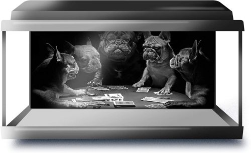 yanfind Fish Tank Background 90x45cm BW - French Bulldogs Playing Cards Dog | Poster Backdrop Decoration Paper