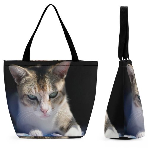 Yanfind Shopping Bag for Ladies Young Studio Funny Kitten Portrait Curiosity Cute Little Sleep Whisker Downy Reusable Multipurpose Heavy Duty Grocery Bag for Outdoors.