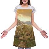 yanfind Custom aprons Mountevans Rockymountains Sky Sunset Goat Valley Mountaingoat Rock Wilderness Outdoors white white-style1 70×80cm