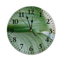 yanfind Fashion PVC Wall Clock Botanical Leaves Lines Macro Plant Plants Texture Tropical Mute Suitable Kitchen Bedroom Decorate Living Room