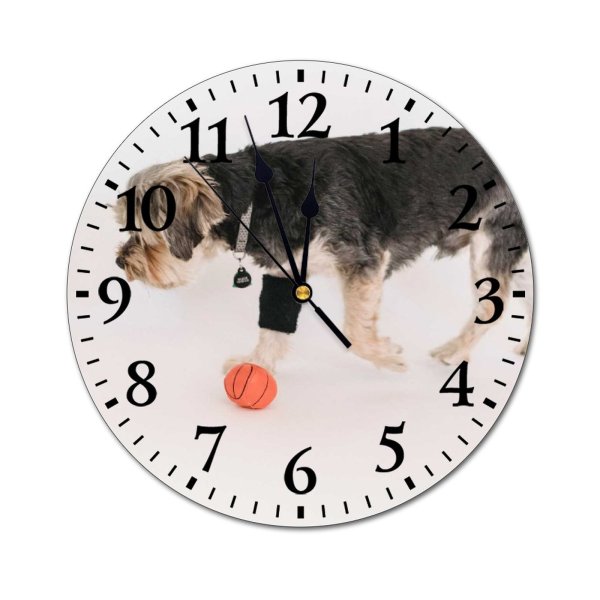 yanfind Fashion PVC Wall Clock Active Ball Calm Curious Dog Fluff Friend Friendly Fun Funny Mute Suitable Kitchen Bedroom Decorate Living Room