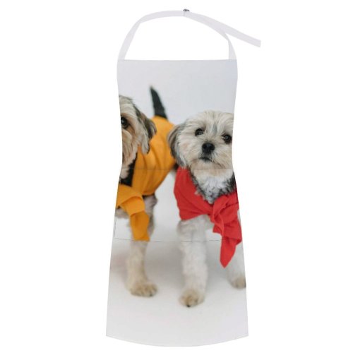 yanfind Custom aprons Adorable Calm Carefree Colorful Comfort Curious Dog Floor Fluff Friend Friendly white white-style1 70×80cm