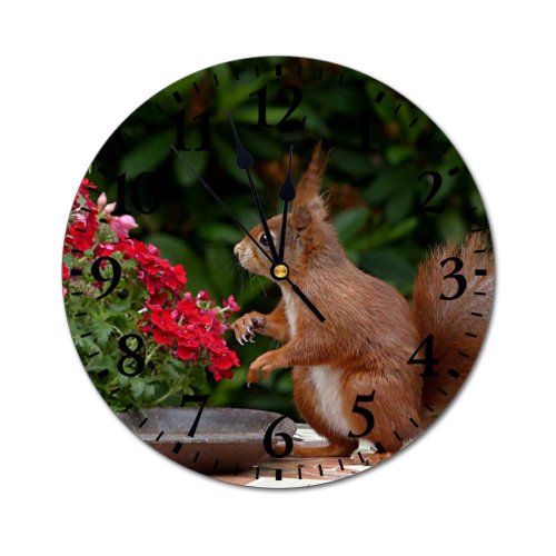 yanfind Fashion PVC Wall Clock Beautiful Flowers Birds Bloom Colorful Colourful Cute Daylight Flora Flower Mute Suitable Kitchen Bedroom Decorate Living Room