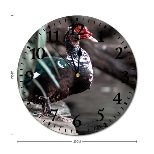 yanfind Fashion PVC Wall Clock Aqua Avian Beak Bird Calm Countryside Creature Daylight Duck Ecosystem Farmland Mute Suitable Kitchen Bedroom Decorate Living Room