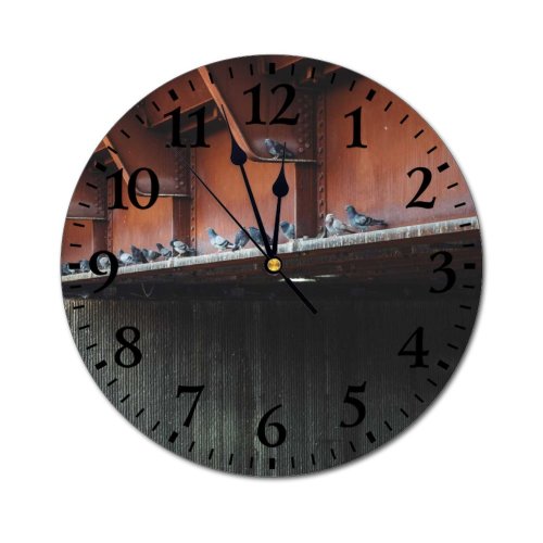 yanfind Fashion PVC Wall Clock Avian Beak Biology Bird Countryside Creature Daytime Dovecote Ecosystem Enclosure Farm Mute Suitable Kitchen Bedroom Decorate Living Room