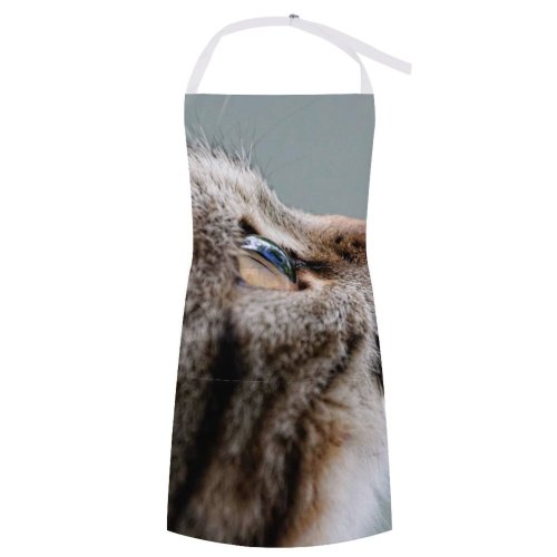 yanfind Custom aprons Adorable Baby British Shorthair Cat Face Curiosity Cute Downy Focus Fur white white-style1 70×80cm