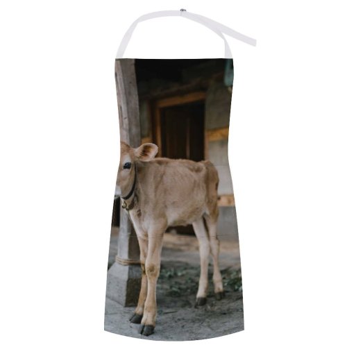 yanfind Custom aprons Adorable Barn Bell Blurred Bovine Calf Calm Cattle Cottage Countryside Courtyard Cow white white-style1 70×80cm