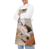 yanfind Custom aprons Adorable Apartment Bonding Caress Cheerful Comfort Cozy Crop Cute Dog white white-style1 70×80cm