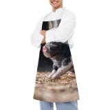 yanfind Custom aprons Adorable Baby Barn Country Countryside Creature Curious Cute Daytime Domesticated Enclosure white white-style1 70×80cm