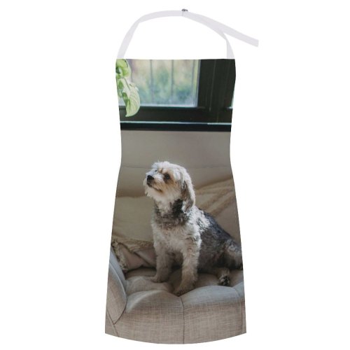 yanfind Custom aprons Adorable Alone Apartment Attentive Blurred Calm Comfort Couch Cozy Creature Curious white white-style1 70×80cm