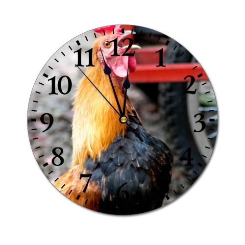 yanfind Fashion PVC Wall Clock Bird Farm Chicken Beak Portrait Hen Outdoors Rural Wildlife Feather Poultry Mute Suitable Kitchen Bedroom Decorate Living Room