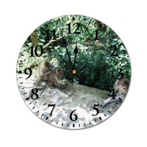 yanfind Fashion PVC Wall Clock Biology Bush Calm Chill Colorful Creature Ecology Fauna Flora Fluff Mute Suitable Kitchen Bedroom Decorate Living Room