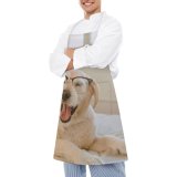 yanfind Custom aprons Adorable Portrait Home Bed Bedroom Reading Canidae Comfort Cozy Cute Dog white white-style1 70×80cm