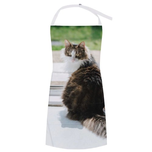 yanfind Custom aprons Adorable Attentive Blurred Carnivore Carpet Cat Charming Concentrate Cute Door Floor Fluffy white white-style1 70×80cm