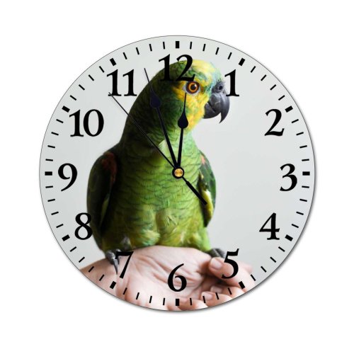 yanfind Fashion PVC Wall Clock Bird Parrot Pet Mute Suitable Kitchen Bedroom Decorate Living Room