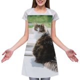 yanfind Custom aprons Adorable Attentive Blurred Carnivore Carpet Cat Charming Concentrate Cute Door Floor Fluffy white white-style1 70×80cm