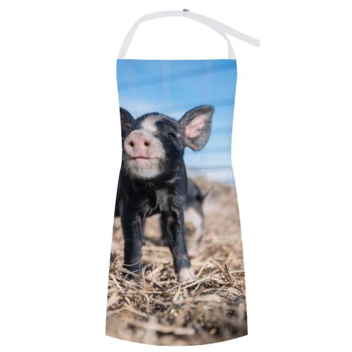 yanfind Custom aprons Adorable Agriculture Baby Countryside Creature Curiosity Curious Cute Domesticated Enclosure Farming white white-style1 70×80cm