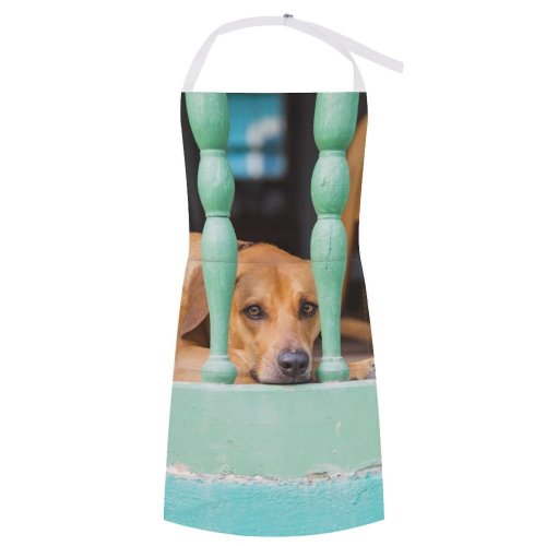 yanfind Custom aprons Adorable Aged Architecture Bar Blurred Calm Charming Chill Chordate Contemplate Contemplative white white-style1 70×80cm