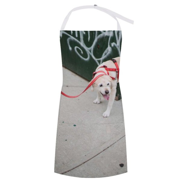 yanfind Custom aprons Adorable Anonymous Casual City Creature Crop Dog Ethnic Faceless Female Footpath white white-style1 70×80cm