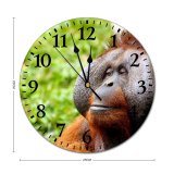 yanfind Fashion PVC Wall Clock Calm Face Hairy Jungle Monkey Orangutan Trees Wild Mute Suitable Kitchen Bedroom Decorate Living Room