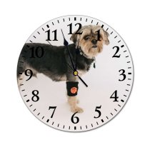 yanfind Fashion PVC Wall Clock Active Alone Attention Basketball Calm Charming Curious Dog Floor Friendly Mute Suitable Kitchen Bedroom Decorate Living Room