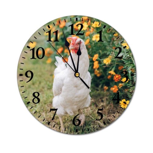 yanfind Fashion PVC Wall Clock Bird Field Summer Garden Grass Beak Hen Outdoors Wild Rural Wildlife Wing Mute Suitable Kitchen Bedroom Decorate Living Room