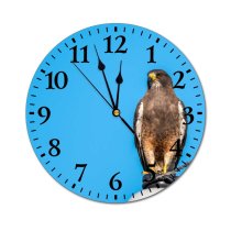 yanfind Fashion PVC Wall Clock Accuracy America Beak Bird Sky Cloudless Construction Daytime Eagle Fast Fauna Feather Mute Suitable Kitchen Bedroom Decorate Living Room