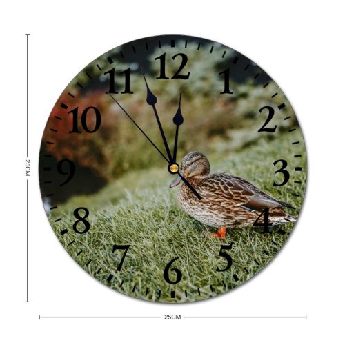 yanfind Fashion PVC Wall Clock Avian Beak Biology Bird Creature Duck Ecosystem Fauna Foliage Fowl Freedom Mute Suitable Kitchen Bedroom Decorate Living Room