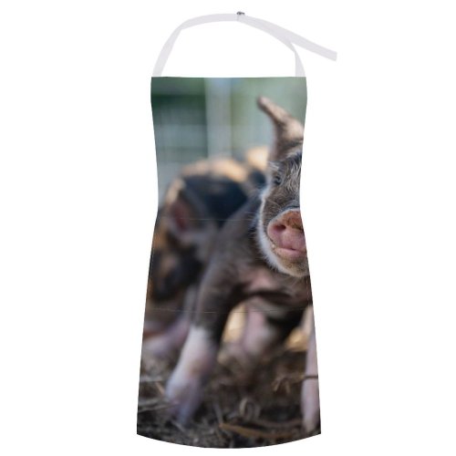 yanfind Custom aprons Adorable Baby Countryside Creature Cute Daytime Domesticated Enclosure Farm Farming Farmland white white-style1 70×80cm