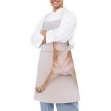 yanfind Custom aprons Adorable Calm Clever Creature Curious Cute Dog Fauna Fluff Friendly Funny white white-style1 70×80cm