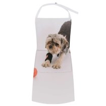 yanfind Custom aprons Active Adorable Ball Calm Creature Curious Dog Floor Friend Friendly white white-style1 70×80cm