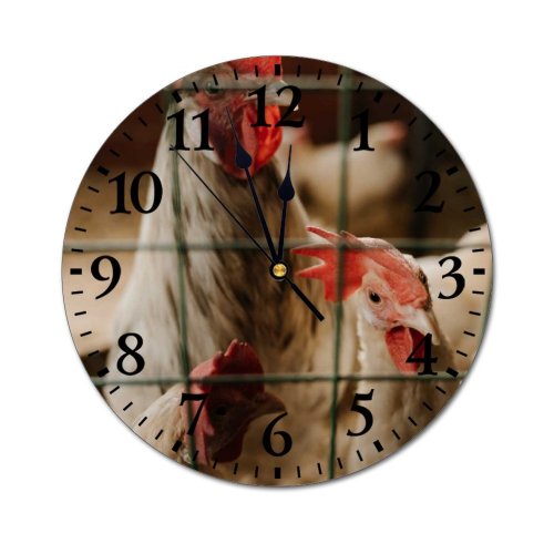 yanfind Fashion PVC Wall Clock Barn Bird Chicken Coop Cock Cockerel Farm Farming Fowl Hen Hencoop Henhouse007 Mute Suitable Kitchen Bedroom Decorate Living Room