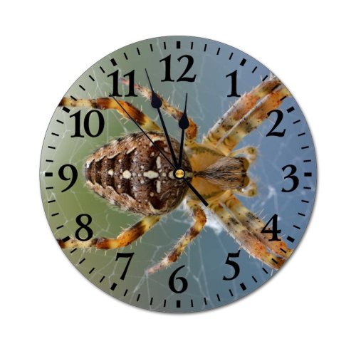 yanfind Fashion PVC Wall Clock Arachnid Closeup Insect Insects Legs Macro Web Wolf Mute Suitable Kitchen Bedroom Decorate Living Room