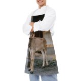 yanfind Custom aprons Adorable Barn Bell Blurred Bovine Calf Calm Cattle Cottage Countryside Courtyard Cow white white-style1 70×80cm