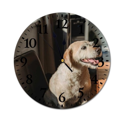 yanfind Fashion PVC Wall Clock Adorable Alone Apartment Blurred Calm Carefree Chair Comfort Curious Daylight Dog Mute Suitable Kitchen Bedroom Decorate Living Room