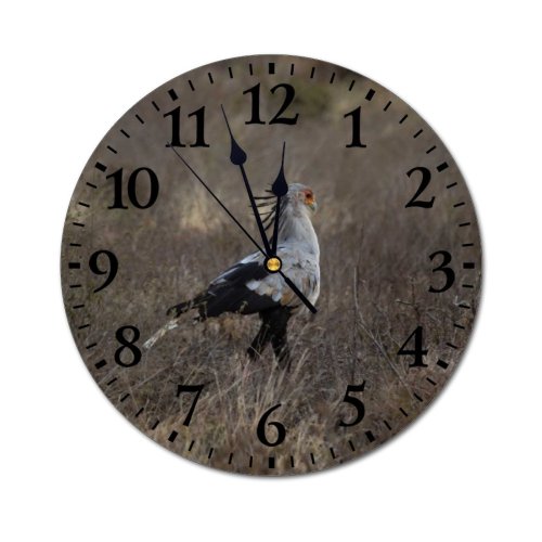 yanfind Fashion PVC Wall Clock Bird Winter Grass Freedom Travel Eagle Grassland Outdoors Wild Safari Wildlife Daylight Mute Suitable Kitchen Bedroom Decorate Living Room