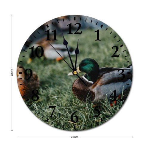 yanfind Fashion PVC Wall Clock Avian Beak Biology Bird Creature Drake Duck Fauna Feather Flock Fowl From Mute Suitable Kitchen Bedroom Decorate Living Room
