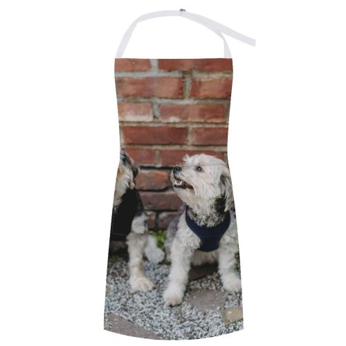 yanfind Custom aprons Adorable Attention Brick Wall Carefree Courtyard Creature Curious Cute Dog white white-style1 70×80cm