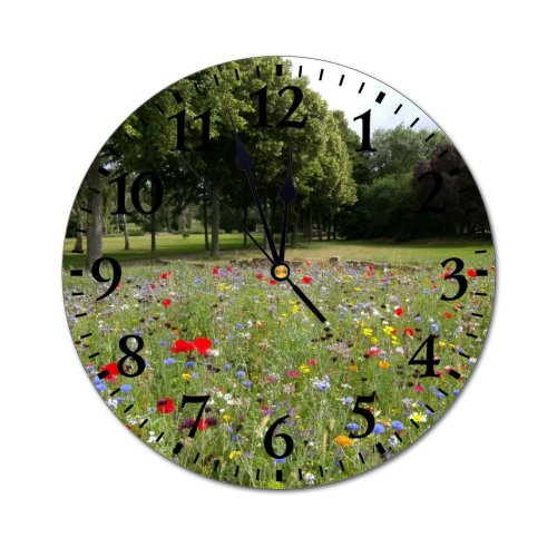 yanfind Fashion PVC Wall Clock Beautiful Bloom Blooming Delicate Field Flora Flower Meadow Flowers Foliage Garden Mute Suitable Kitchen Bedroom Decorate Living Room