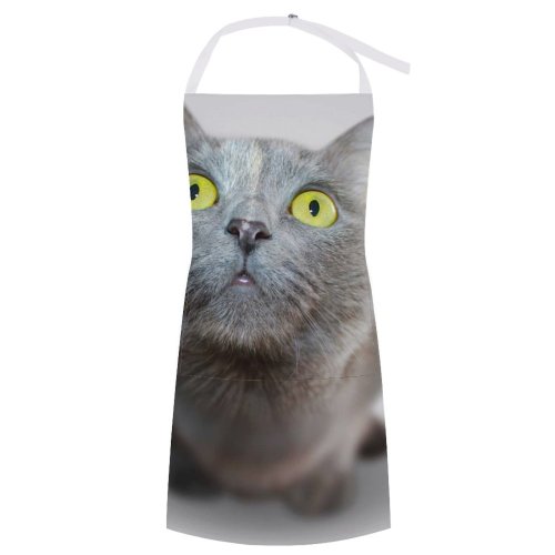 yanfind Custom aprons Adorable Cat Cute Eyes Fur Grey Isolated Kitten Kitty Pet Portrait Veterinary white white-style1 70×80cm