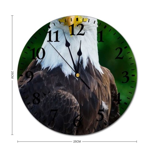 yanfind Fashion PVC Wall Clock Bird Bald Eagle Beak Wildlife Feather Hawk Raptor Avian Endangered Mute Suitable Kitchen Bedroom Decorate Living Room
