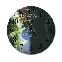 yanfind Fashion PVC Wall Clock Biology Bloom Blurred Botany Bush Calm Clear Closeup Cobweb Colorful Concept Mute Suitable Kitchen Bedroom Decorate Living Room