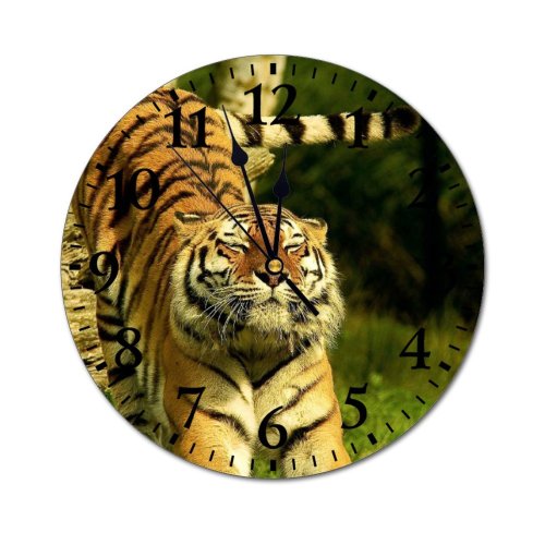yanfind Fashion PVC Wall Clock Big Cat Carnivore Claw Dangerous Depth Field Endangered Felidae Focus Fur Mute Suitable Kitchen Bedroom Decorate Living Room